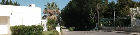 Jardins da Balaia | Algarve - Faro Bölgesi - Albufeira - Branqueira