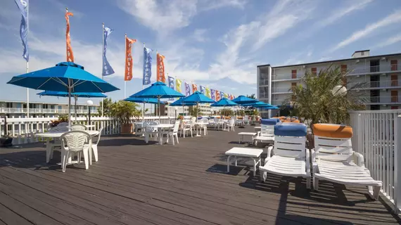 Spinnaker Motel | Maryland - Ocean City (ve civarı) - Ocean City