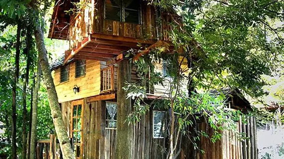 Rabeang Pasak Treehouse Resort | Chiang Mai İli - Doi Saket