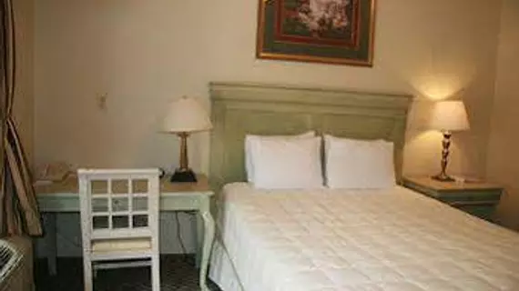 The Prytania Park Hotel | Louisiana - New Orleans (ve civarı) - New Orleans - Lower Garden District bölgesi