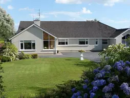 Ashleigh House B&B | Waterford (kontluk) - Waterford