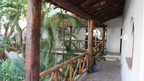 Hostal MX | Quintana Roo - Solidaridad - Playa del Carmen