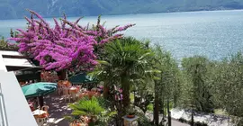 Hotel Augusta Garnì | Lombardy - Brescia (il) - Limone sul Garda