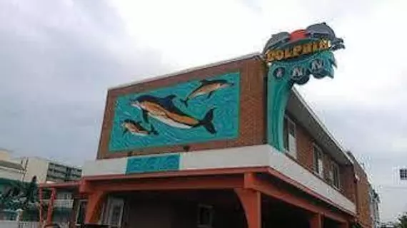 Dolphin Inn | New Jersey - Middle Township - Cape May - Wildwood (ve civarı) - Wildwood