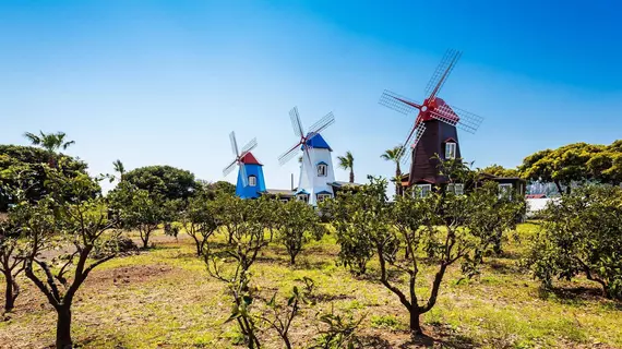 Olle Windmill Pension and Guesthouse | Jeju Adası - Seogwipo - Jungmun