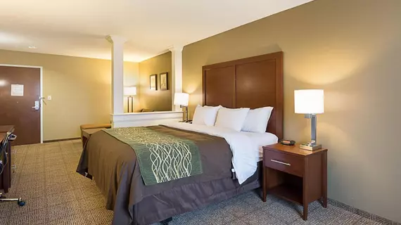 Comfort Inn and Suites Zachary | Louisiana - Baton Rouge (ve civarı) - Zachary