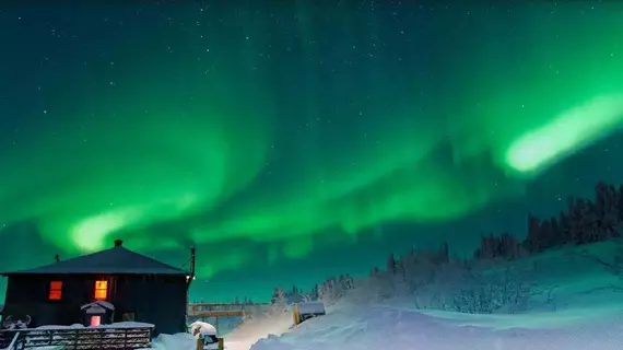 Mount Aurora Lodge | Alaska - Fairbanks (ve civarı) - Fairbanks