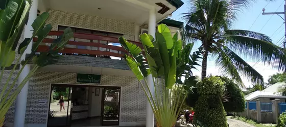 Harmony Hotel | Bohol - Panglao