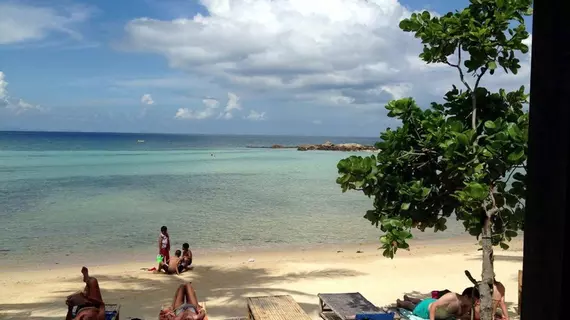 Benjamin's Hut | Surat Thani (vilayet) - Koh Phangan