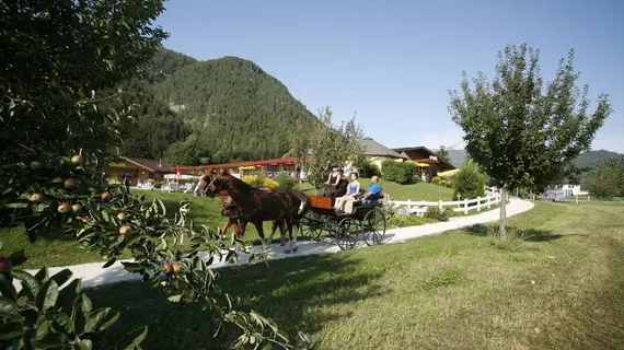 Gut Hanneshof | Tirol - Kitzbühel District - Kitzbuehel (ve civarı) - Kirchdorf in Tirol