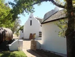 Oude Wellington Wine Estate | Western Cape (il) - West Coast DC - Drakenstein - Cape Town (ve civarı) - Paarl