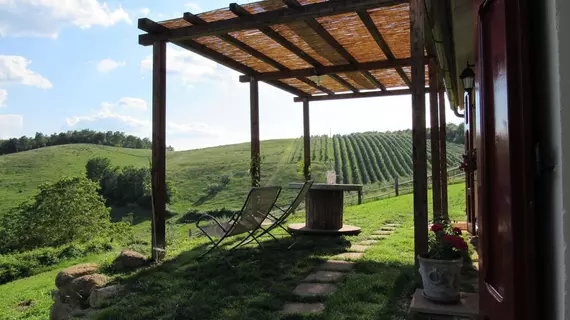 Agriturismo Renello | Toskana - Siena (vilayet) - Trequanda