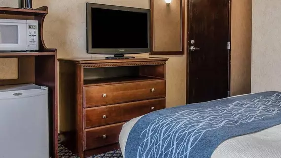 Quality Inn and Suites Coldwater | Michigan - Kalamazoo (ve civarı) - Coldwater