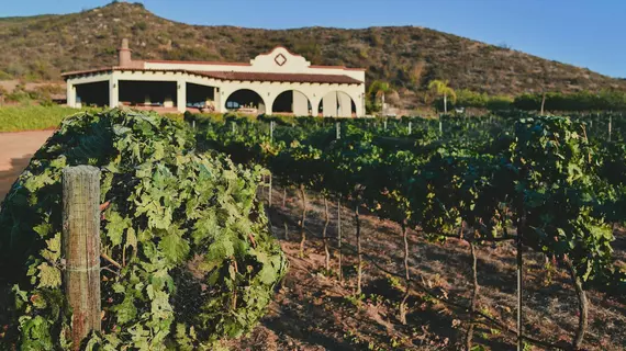 Hacienda Guadalupe | Kuzey Baja California - Ensenada - Ensenada (ve civarı) - Valle de Guadalupe