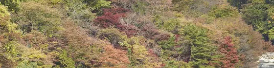 Kinugawa Onsen Sanraku | Toçigi (idari bölge) - Nikko