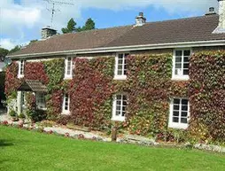 Ivy Cottage