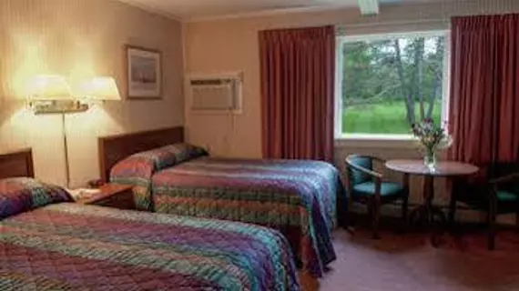 Stowe Motel & Snowdrift | Vermont - Stowe (ve civarı) - Stowe