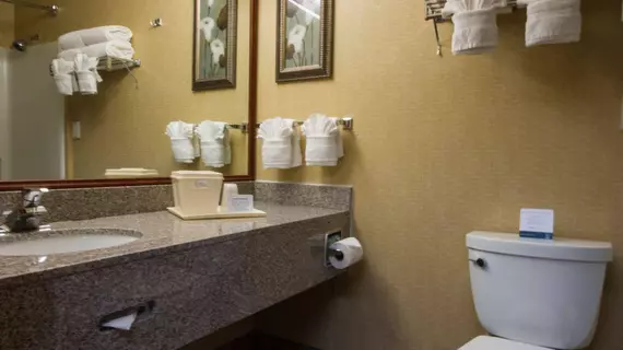 Quality Inn and Suites Denver North Westminster | Kolorado - Denver (ve civarı) - Westminster