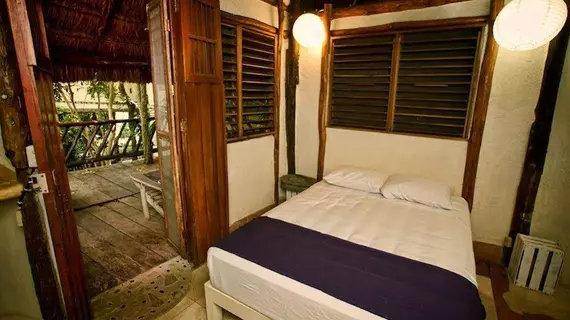 Ecolodge Shalala | Quintana Roo - Solidaridad - Playa del Carmen