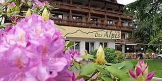 Hotel Des Alpes