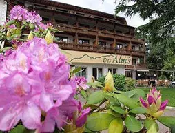 Hotel Des Alpes | Trentino-Alto Adige - Güney Tirol (il) - Lagundo