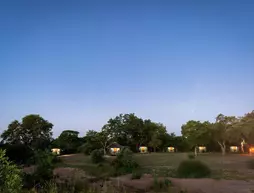 Shindzela Tented Safari Camp | Limpopo - Maruleng - Hoedspruit