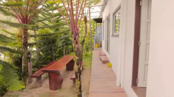 Westwood Highland Hostel | Pahang - Tanah Rata