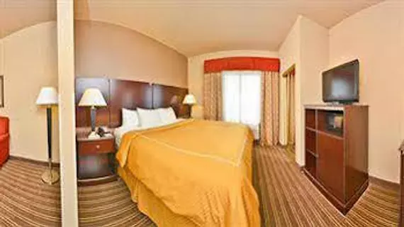 Comfort Suites Portland | Tennessee - Nashville-Davidson - Nashville (ve civarı) - Orlinda