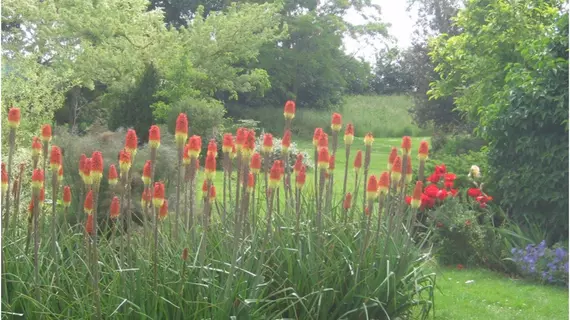 Earsham Park Farm | Norfolk (kontluk) - Bungay