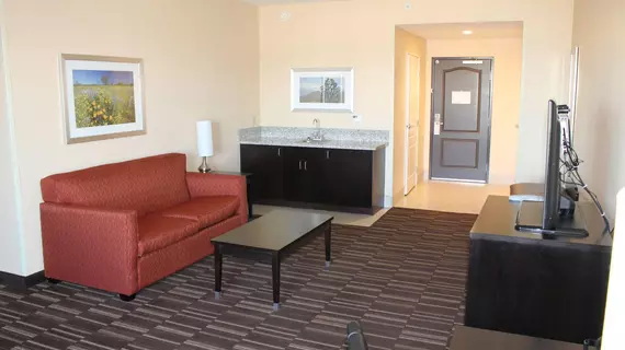 Best Western Plus Desert Poppy Inn | Kaliforniya - Los Angeles County - Lancaster (ve civarı)