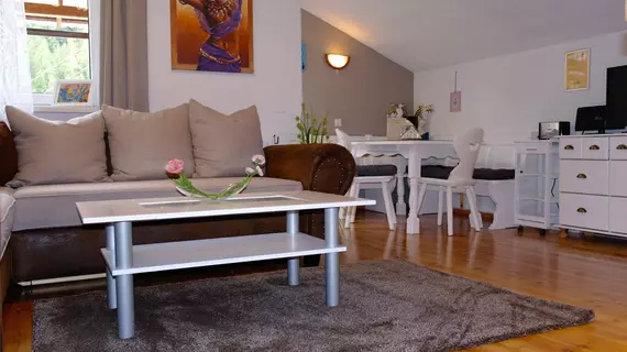 Apartment Fernerkogel | Tirol - Innsbruck (ve civarı) - Gries im Sellrain