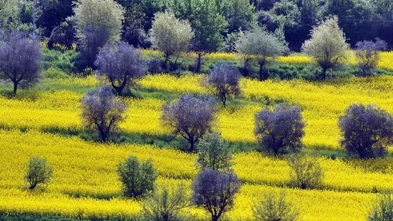 Relais La Rosetta | Umbria - Perugia (vilayet) - Magione - Torricella