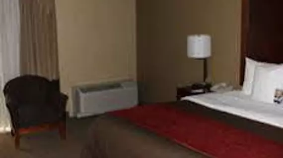 Comfort Inn Central | Kolorado - Denver (ve civarı) - Denver