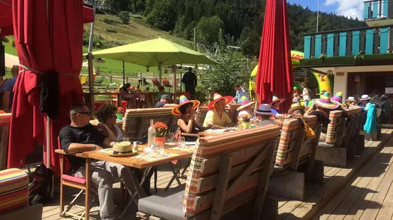 Hotel Le Tremplin | Auvergne-Rhone-Alpes - Haute-Savoie (bölge) - Morzine