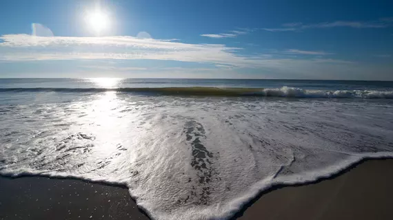 Sandpebble Beach Club | Güney Karolayna - Myrtle Plajı (ve civarı) - Surfside Beach