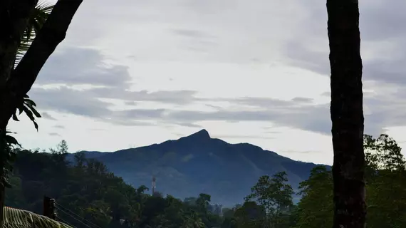 Blue Haven Guest House | Merkez Vilayet - Kandy Bölgesi - Kandy