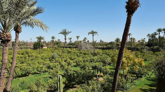 Dar JL | Marakeş (ve civarı) - Marrakech - Ouahat Sidi Brahim - Palmeraie