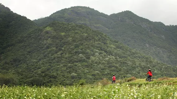 Harvest Fresh Farms | Kerala - Idukki Bölgesi - Thekkady