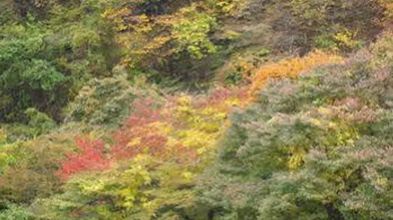 Koduchi no Yado Tsurukamedaikichi | Toçigi (idari bölge) - Nikko