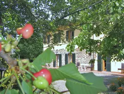 Agriturismo Il Gelso | Toskana - Pisa (vilayet) - Santa Luce