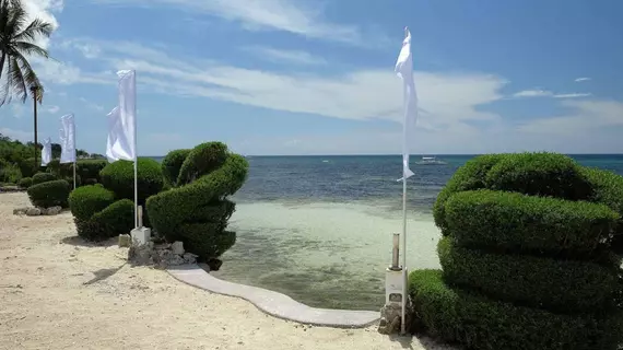 Dive Thru Scuba Resort | Bohol - Panglao