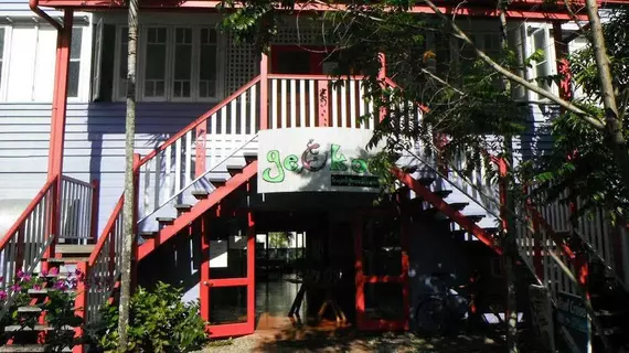 Geckos Backpackers Cairns | Queensland - Cairns - Cairns (ve civarı) - Parramatta Park