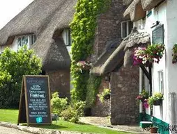 Greyhound Country Inn | Devon (kontluk) - East Devon District - Honiton