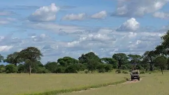 Whistling Thorn Camp | Manyara Bölgesi - Tarangire Ulusal Parkı