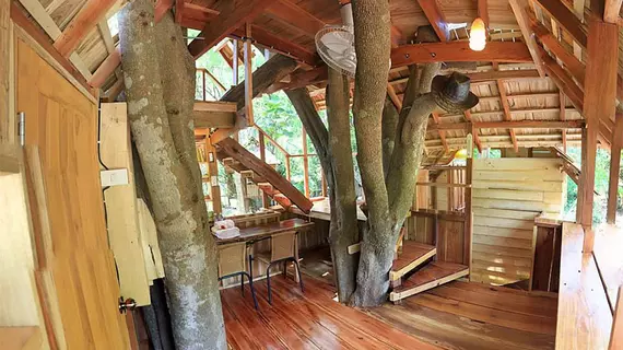 Rabeang Pasak Treehouse Resort | Chiang Mai İli - Doi Saket