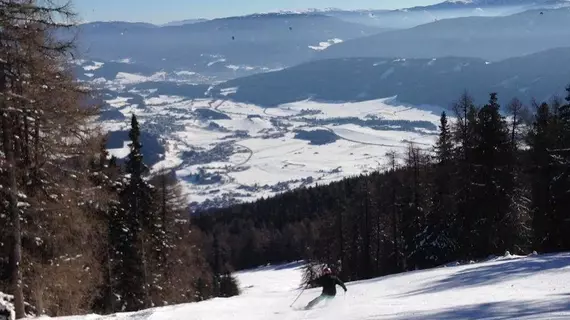 Chaletdorf Fanningberg | Salzburg (eyalet) - Tamsweg - Weisspriach