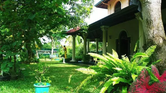 Villa Eco Green Tours | Gampaha Bölgesi - Negombo