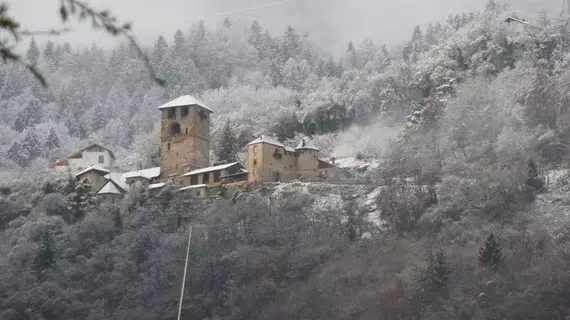 Garni Rebhof | Trentino-Alto Adige - Güney Tirol (il) - Nalles