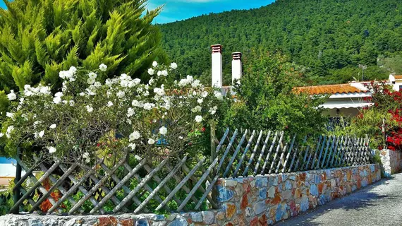 Alexios Studios and Elios Petit Village | Tesalya - Skopelos