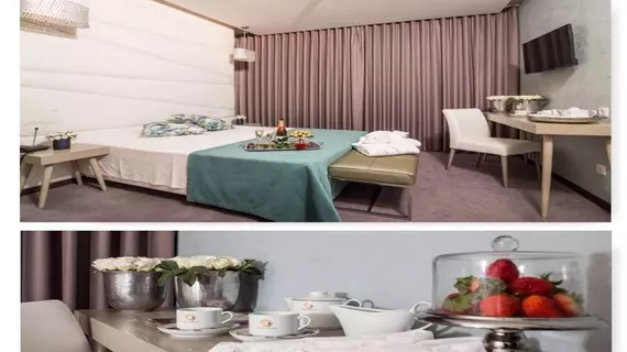 Hotel de Ilhavo Plaza & Spa | Centro - Aveiro Bölgesi - Ilhavo